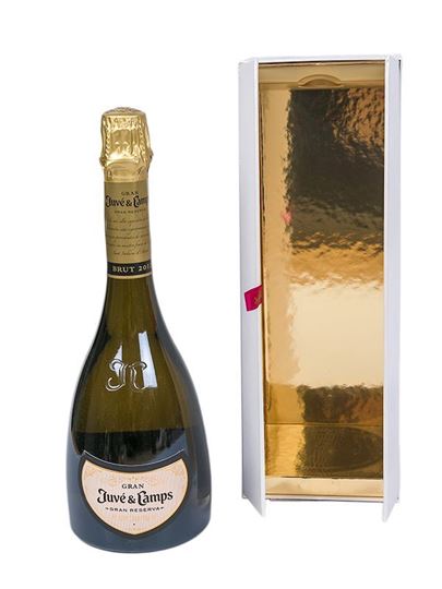 Gran Reserva Juvé & Camps